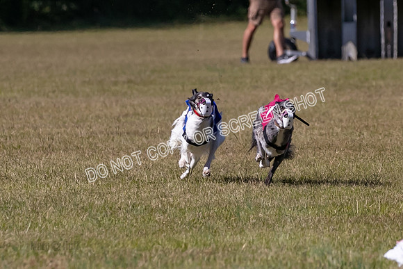 Group A, Prg 3, SW, Race 5-7932