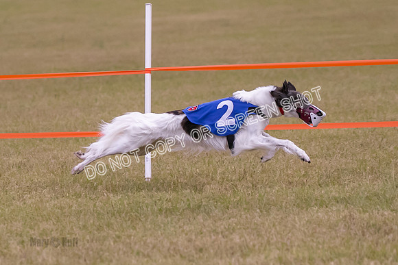 Group A, Prg 1, SW, Race 5-6711