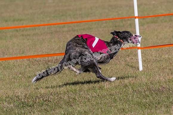 Group A, Prg 3, SW, Race 5-7968