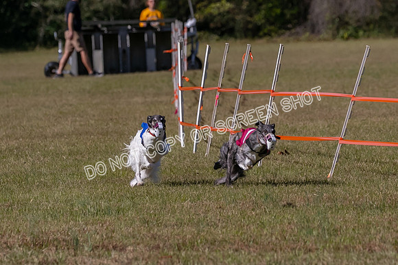 Group A, Prg 3, SW, Race 5-7940