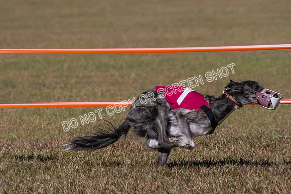 Group A, Prg 3, SW, Race 5-7954