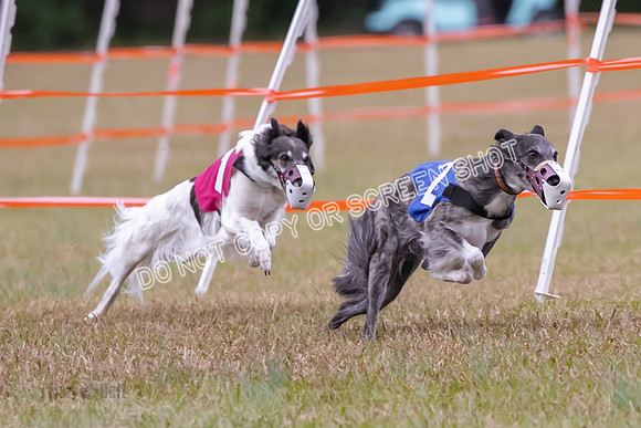Group A, Prg 2, SW, Race 5-7303