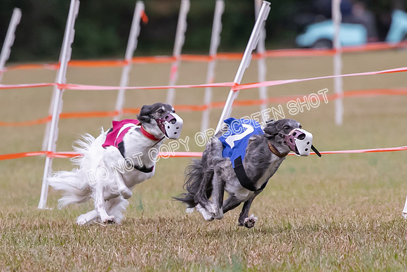 Group A, Prg 2, SW, Race 5-7302