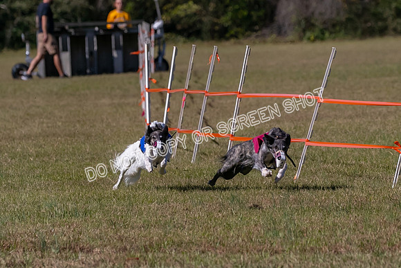 Group A, Prg 3, SW, Race 5-7941