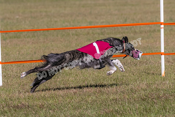 Group A, Prg 3, SW, Race 5-7969