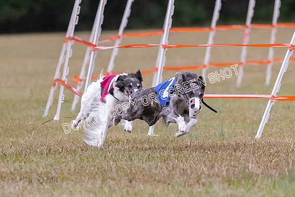 Group A, Prg 2, SW, Race 5-7300