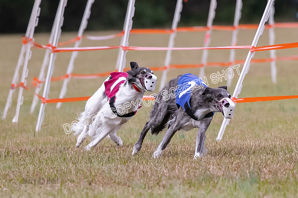 Group A, Prg 2, SW, Race 5-7301