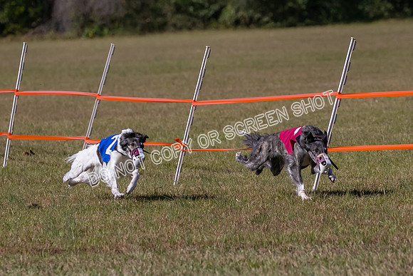 Group A, Prg 3, SW, Race 5-7942