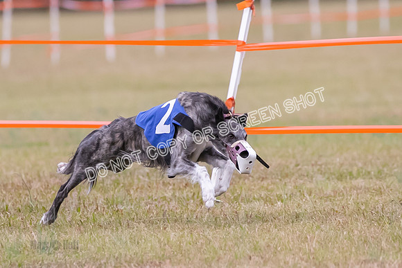Group A, Prg 2, SW, Race 5-7305