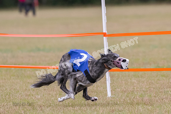 Group A, Prg 2, SW, Race 5-7311