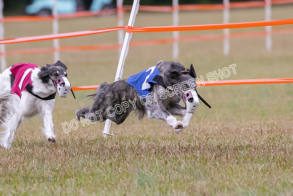 Group A, Prg 2, SW, Race 5-7304