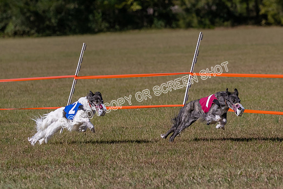 Group A, Prg 3, SW, Race 5-7945