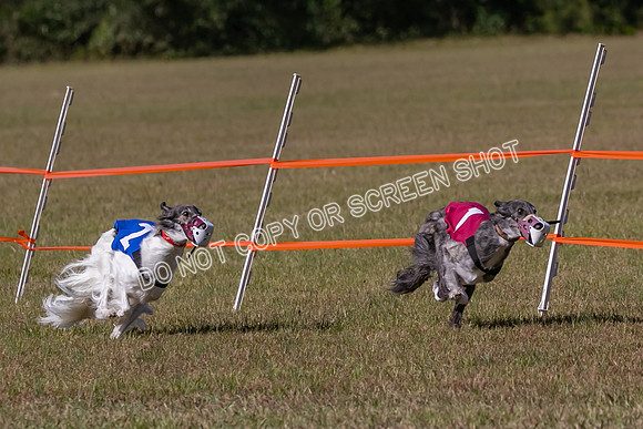 Group A, Prg 3, SW, Race 5-7944