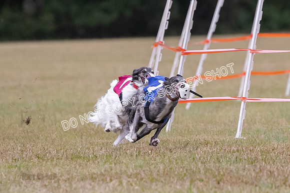 Group A, Prg 2, SW, Race 5-7298
