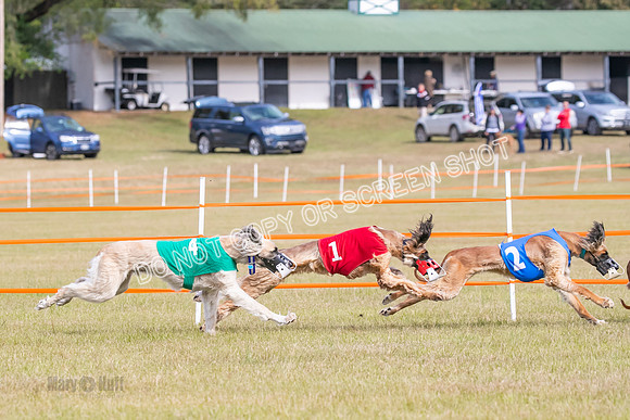 Group B, Prg 2, A, Race 5-7611