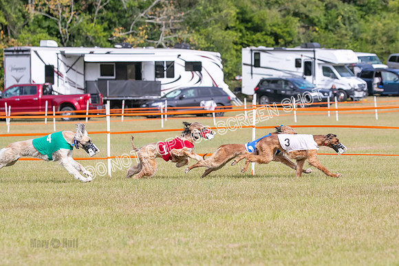 Group B, Prg 2, A, Race 5-7605