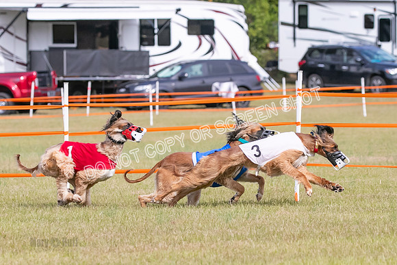 Group B, Prg 2, A, Race 5-7604