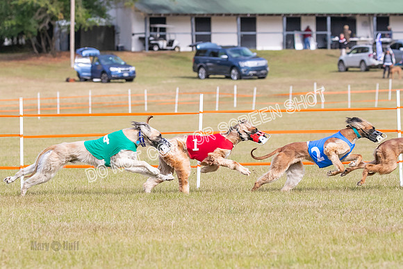 Group B, Prg 2, A, Race 5-7610