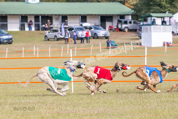 Group B, Prg 2, A, Race 5-7613