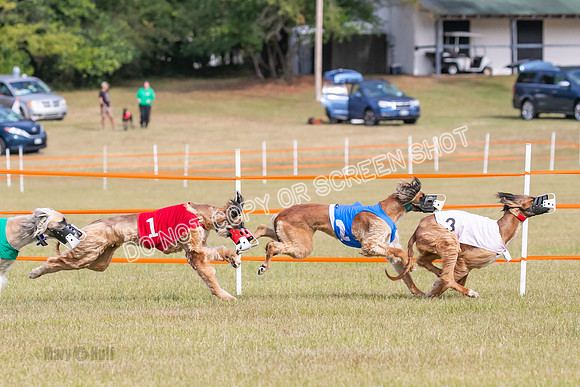 Group B, Prg 2, A, Race 5-7607