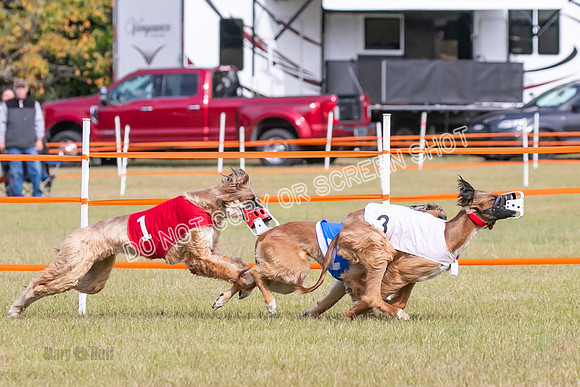 Group B, Prg 2, A, Race 5-7602