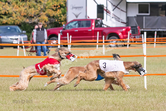 Group B, Prg 2, A, Race 5-7601