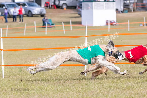 Group B, Prg 2, A, Race 5-7615