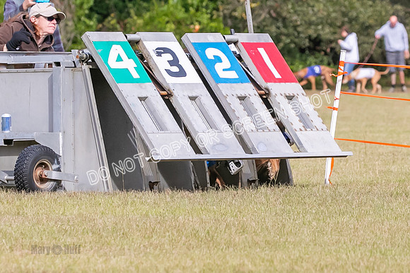Group B, Prg 2, A, Race 1-7446