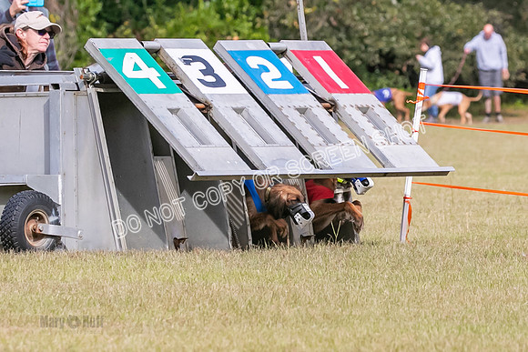 Group B, Prg 2, A, Race 1-7447