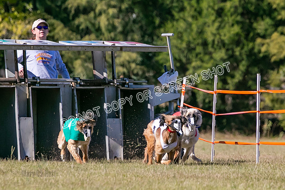 Group B, Prg 3, A, Race 4-8223