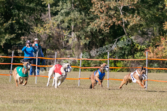 Group B, Prg 3, A, Race 4-8229