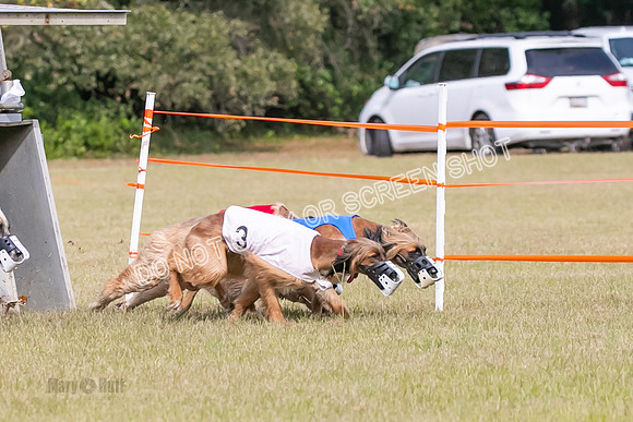 Group B, Prg 2, A, Race 5-7590