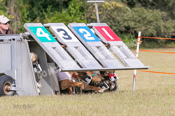 Group B, Prg 2, A, Race 5-7584