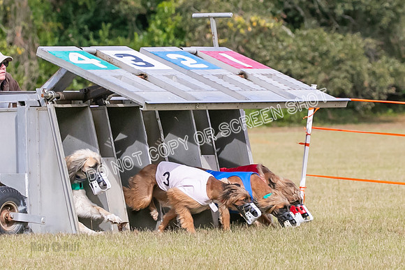 Group B, Prg 2, A, Race 5-7586