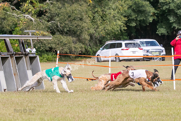 Group B, Prg 2, A, Race 5-7593