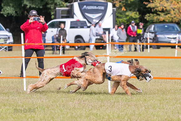 Group B, Prg 2, A, Race 5-7597