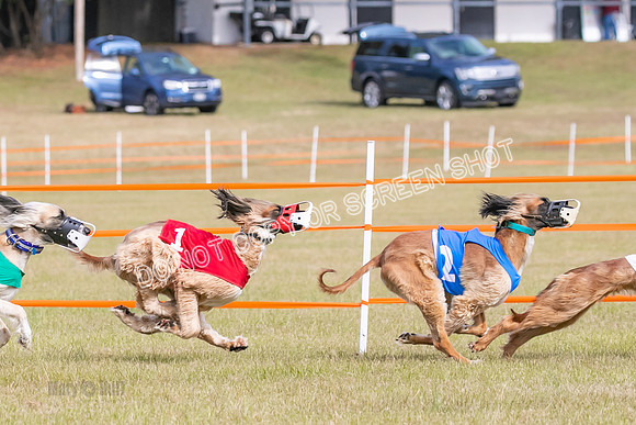 Group B, Prg 2, A, Race 5-7609