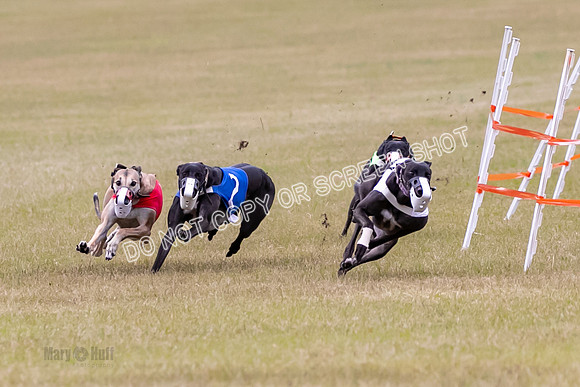 Group B, Prg 1, G, Race 6-7029
