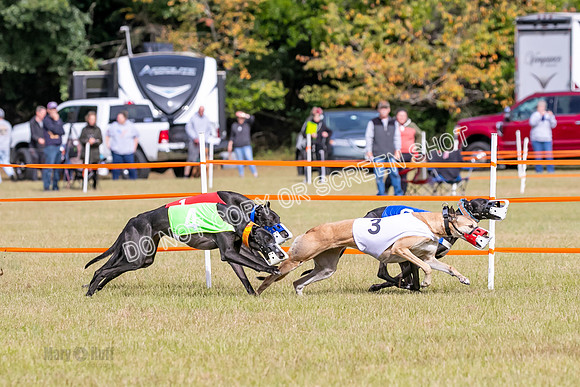 Group B, Prg 2, G, Race 6-7639