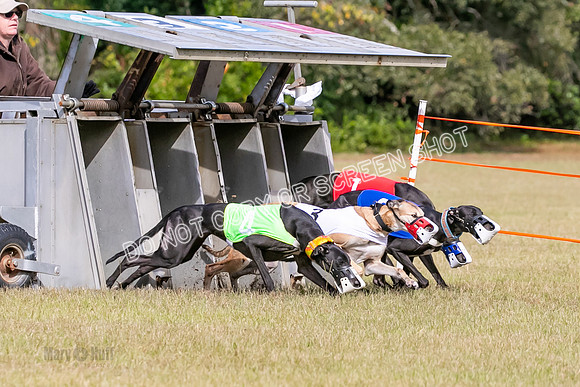 Group B, Prg 2, G, Race 6-7628