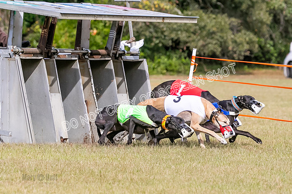 Group B, Prg 2, G, Race 6-7629