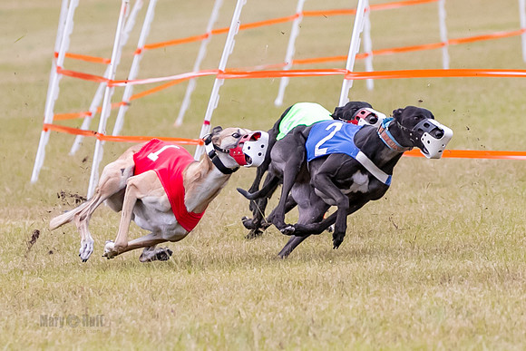 Group B, Prg 1, G, Race 6-7039
