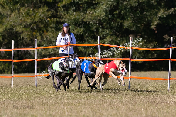 Group B, Prg 3, G, Race 5-8289