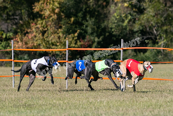 Group B, Prg 3, G, Race 5-8304
