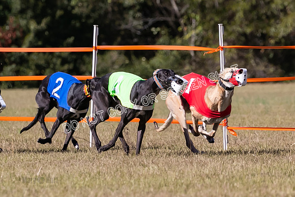 Group B, Prg 3, G, Race 5-8305