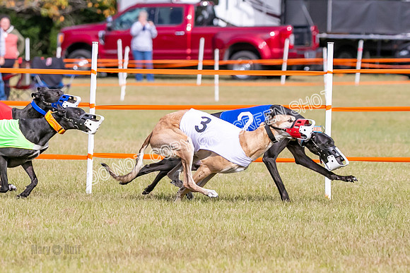 Group B, Prg 2, G, Race 6-2