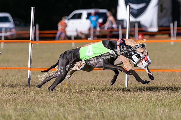Group B, Prg 3, G, Race 5-2