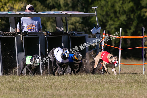 Group B, Prg 3, G, Race 5-8280