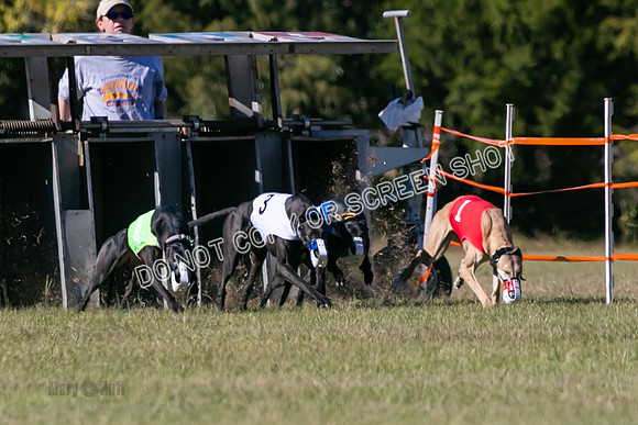 Group B, Prg 3, G, Race 5-8281