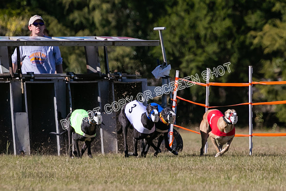Group B, Prg 3, G, Race 5-8283